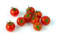 Cherry Tomato pp Red (Holland)